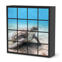 Möbelfolie Green Sea Turtle - IKEA Kallax Regal 16 Türen - schwarz