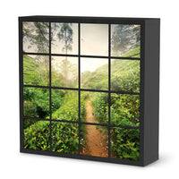 Möbelfolie Green Tea Fields - IKEA Kallax Regal 16 Türen - schwarz