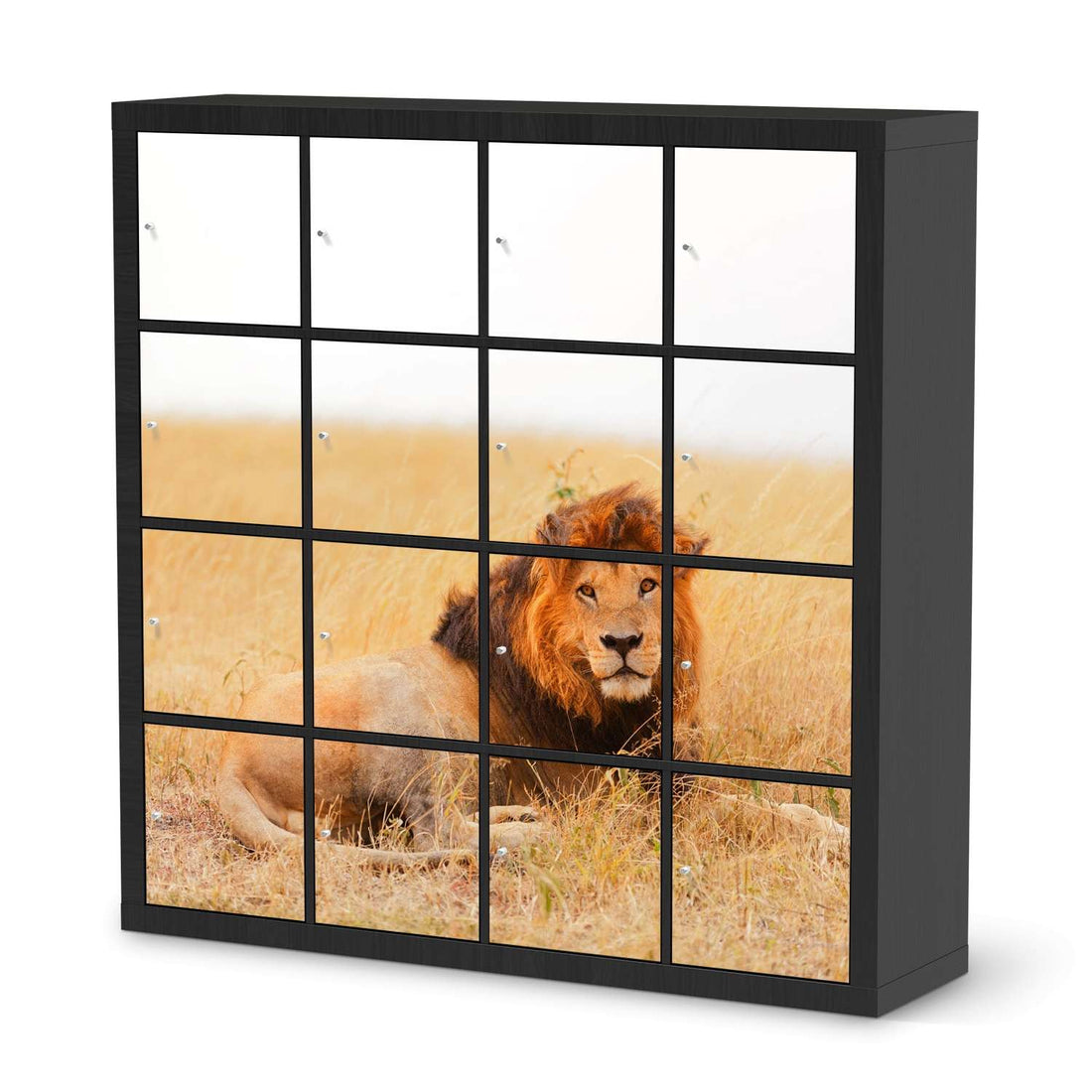 Möbelfolie Lion King - IKEA Kallax Regal 16 Türen - schwarz