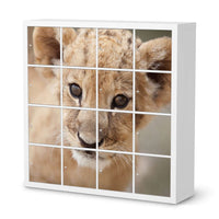 Möbelfolie Simba - IKEA Kallax Regal 16 Türen  - weiss