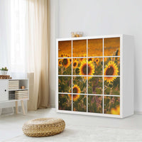 Möbelfolie Sunflowers - IKEA Kallax Regal 16 Türen - Wohnzimmer