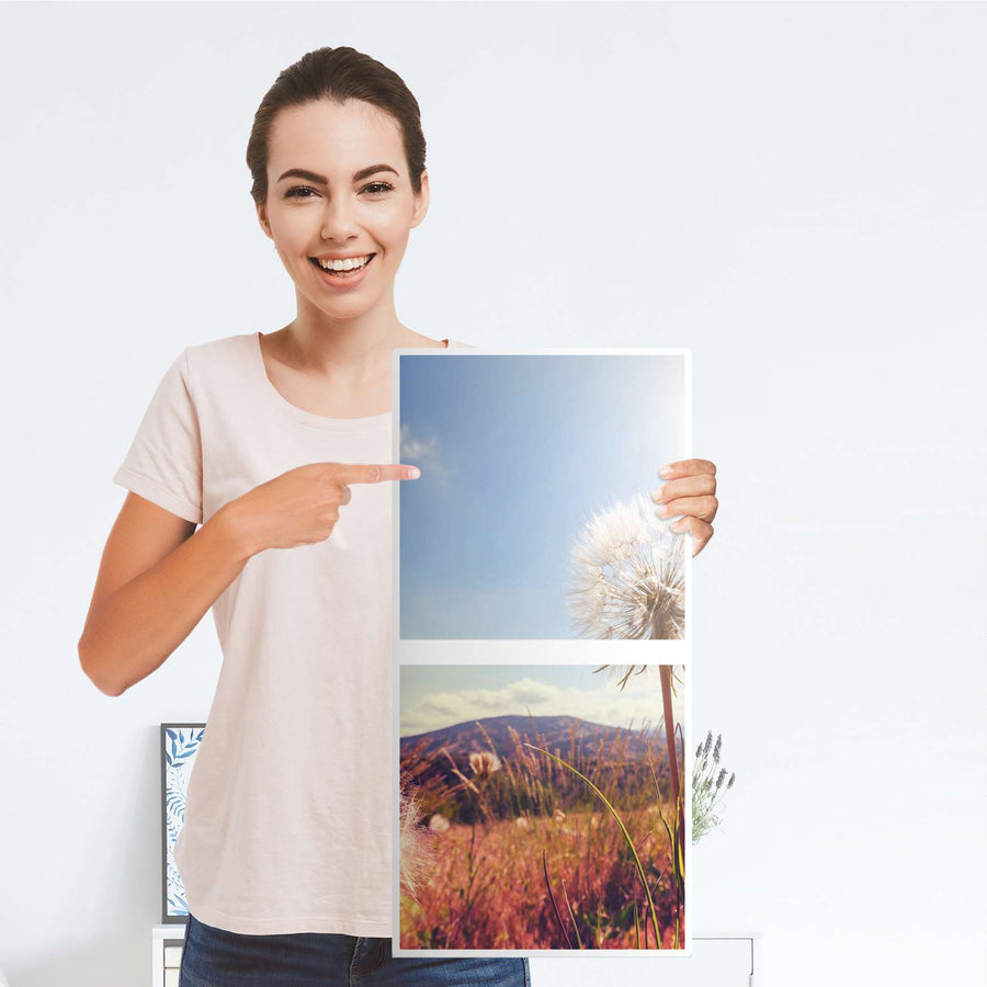 Möbelfolie Dandelion - IKEA Kallax Regal 2 Türen Hoch - Folie
