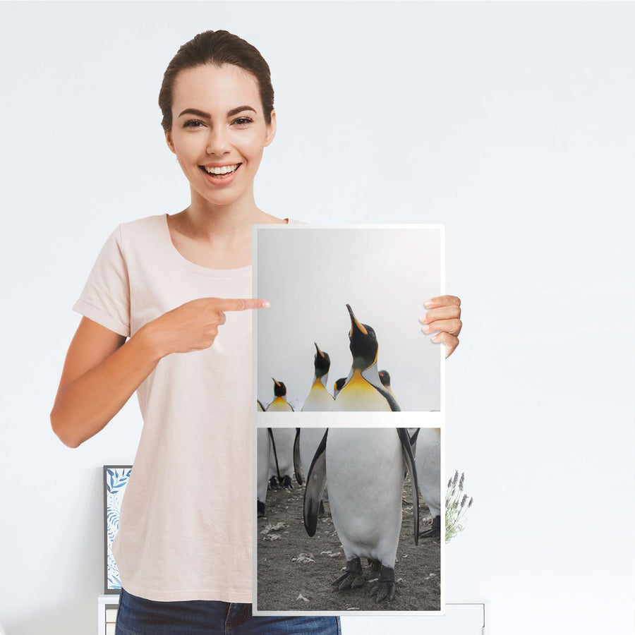 Möbelfolie Penguin Family - IKEA Kallax Regal 2 Türen Hoch - Folie