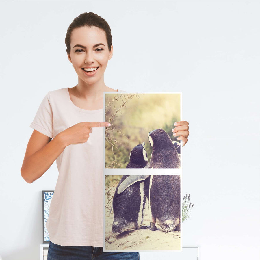 Möbelfolie Pingu Friendship - IKEA Kallax Regal 2 Türen Hoch - Folie