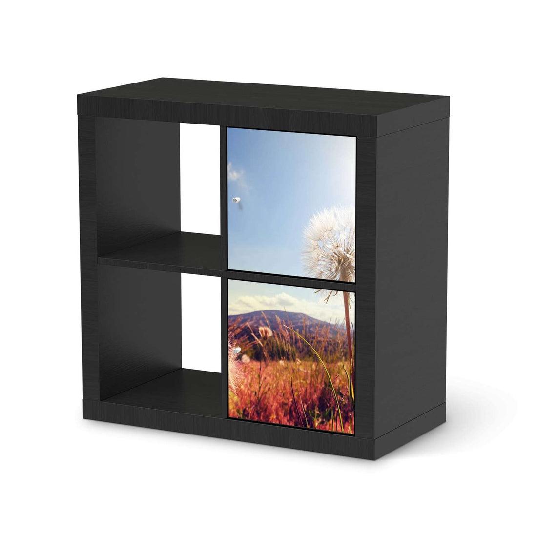 Möbelfolie Dandelion - IKEA Kallax Regal 2 Türen Hoch - schwarz