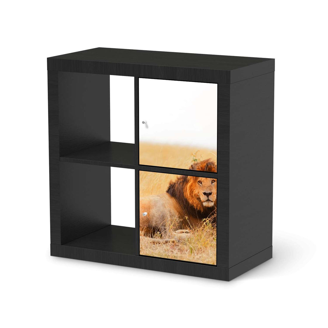 Möbelfolie Lion King - IKEA Kallax Regal 2 Türen Hoch - schwarz