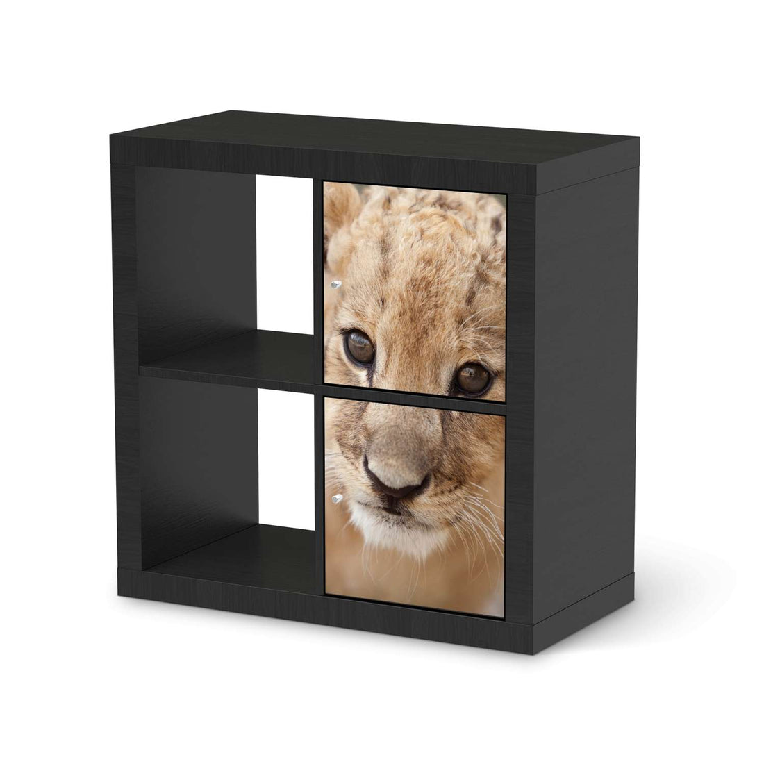 Möbelfolie Simba - IKEA Kallax Regal 2 Türen Hoch - schwarz
