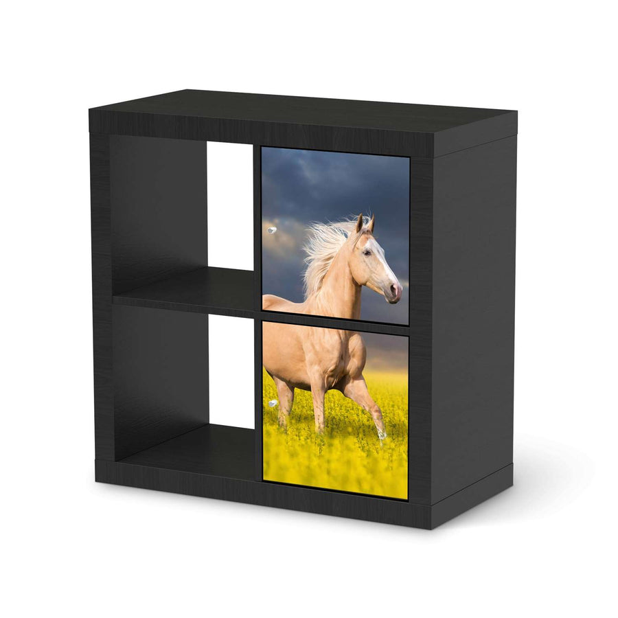 Möbelfolie Wildpferd - IKEA Kallax Regal 2 Türen Hoch - schwarz