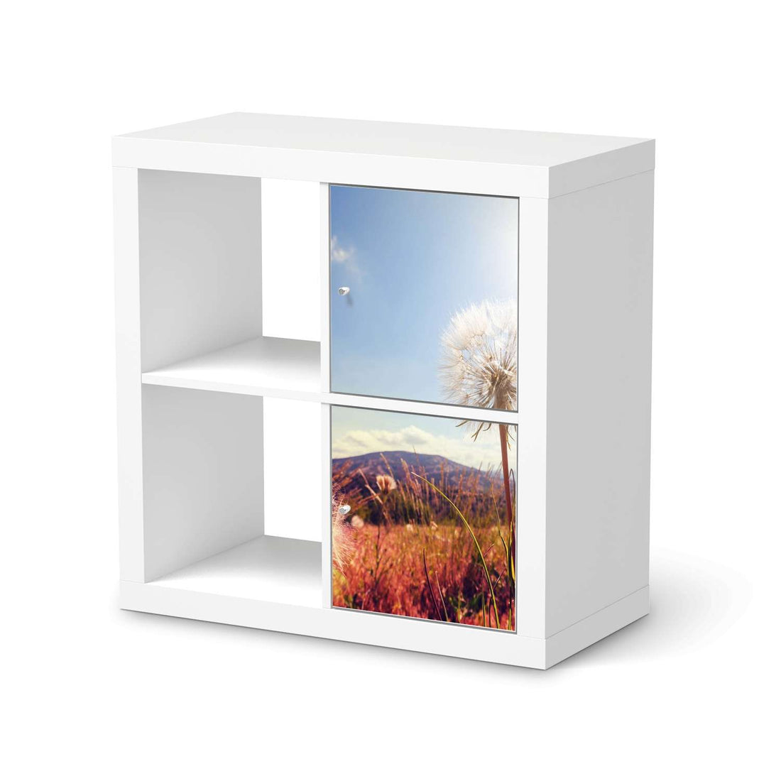 Möbelfolie Dandelion - IKEA Kallax Regal 2 Türen Hoch  - weiss