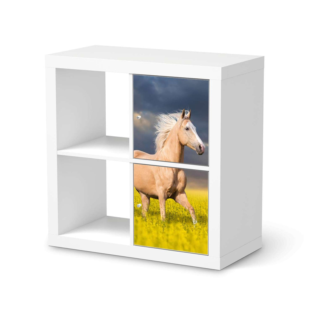 Möbelfolie Wildpferd - IKEA Kallax Regal 2 Türen Hoch  - weiss