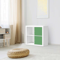 Möbelfolie Grün Light - IKEA Kallax Regal 2 Türen Hoch - Wohnzimmer