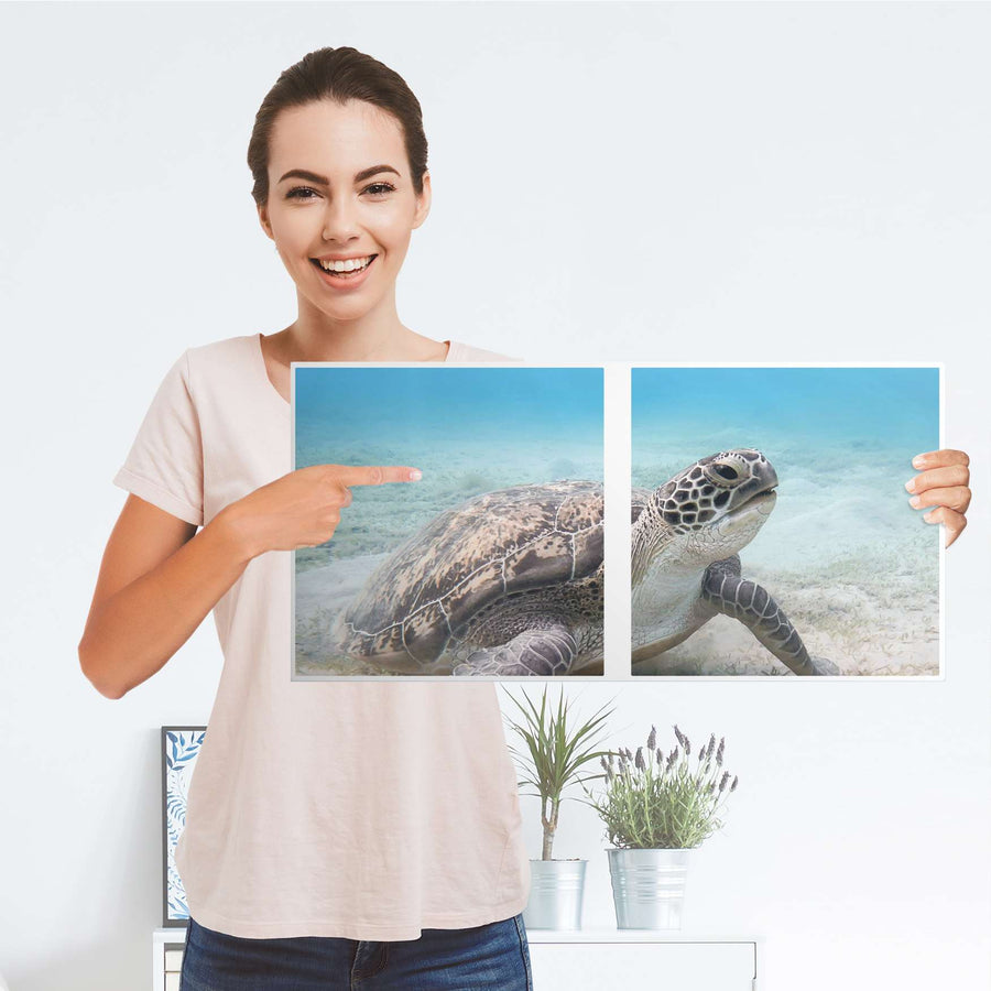 Möbelfolie Green Sea Turtle - IKEA Kallax Regal 2 Türen Quer - Folie