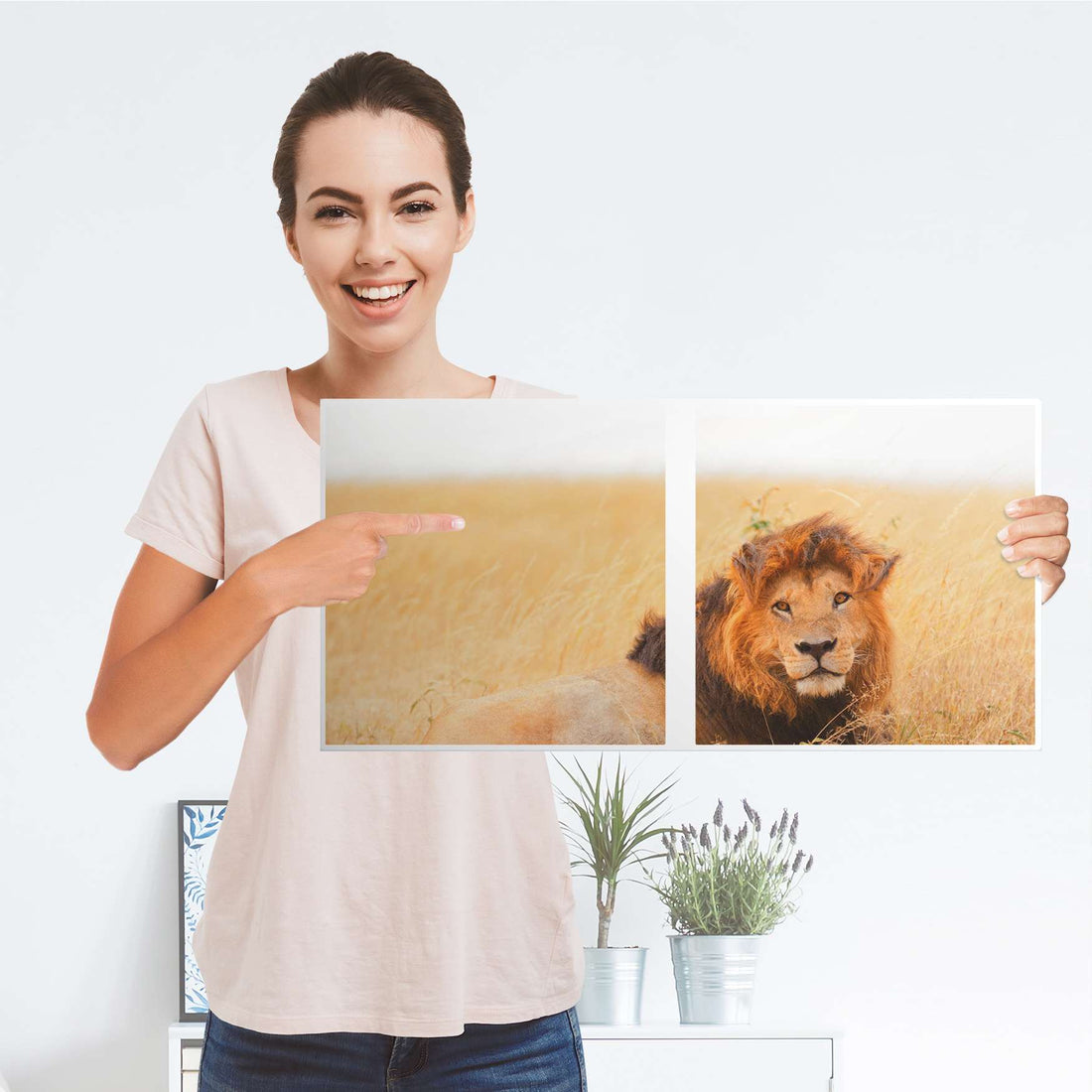Möbelfolie Lion King - IKEA Kallax Regal 2 Türen Quer - Folie