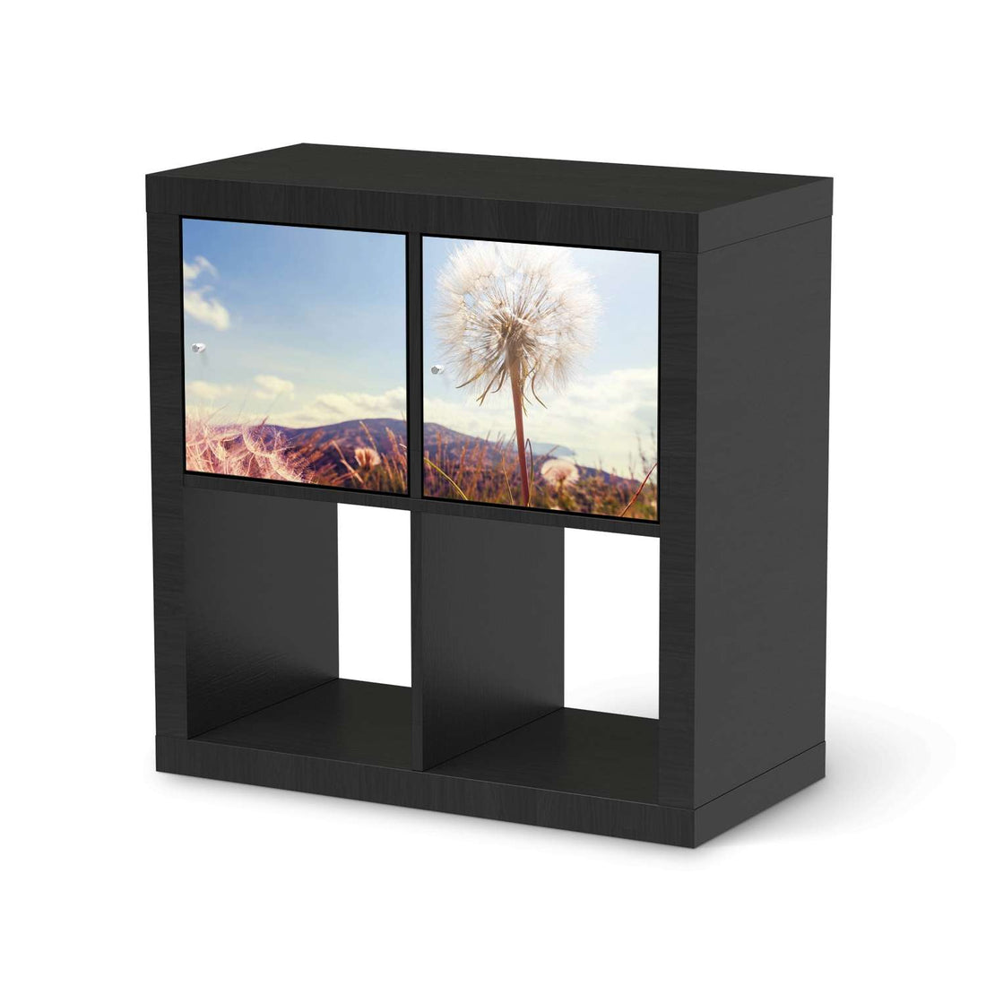 Möbelfolie Dandelion - IKEA Kallax Regal 2 Türen Quer - schwarz