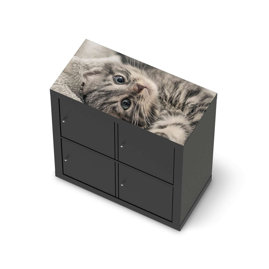 Möbelfolie Kitty the Cat - IKEA Kallax Regal [oben] - schwarz