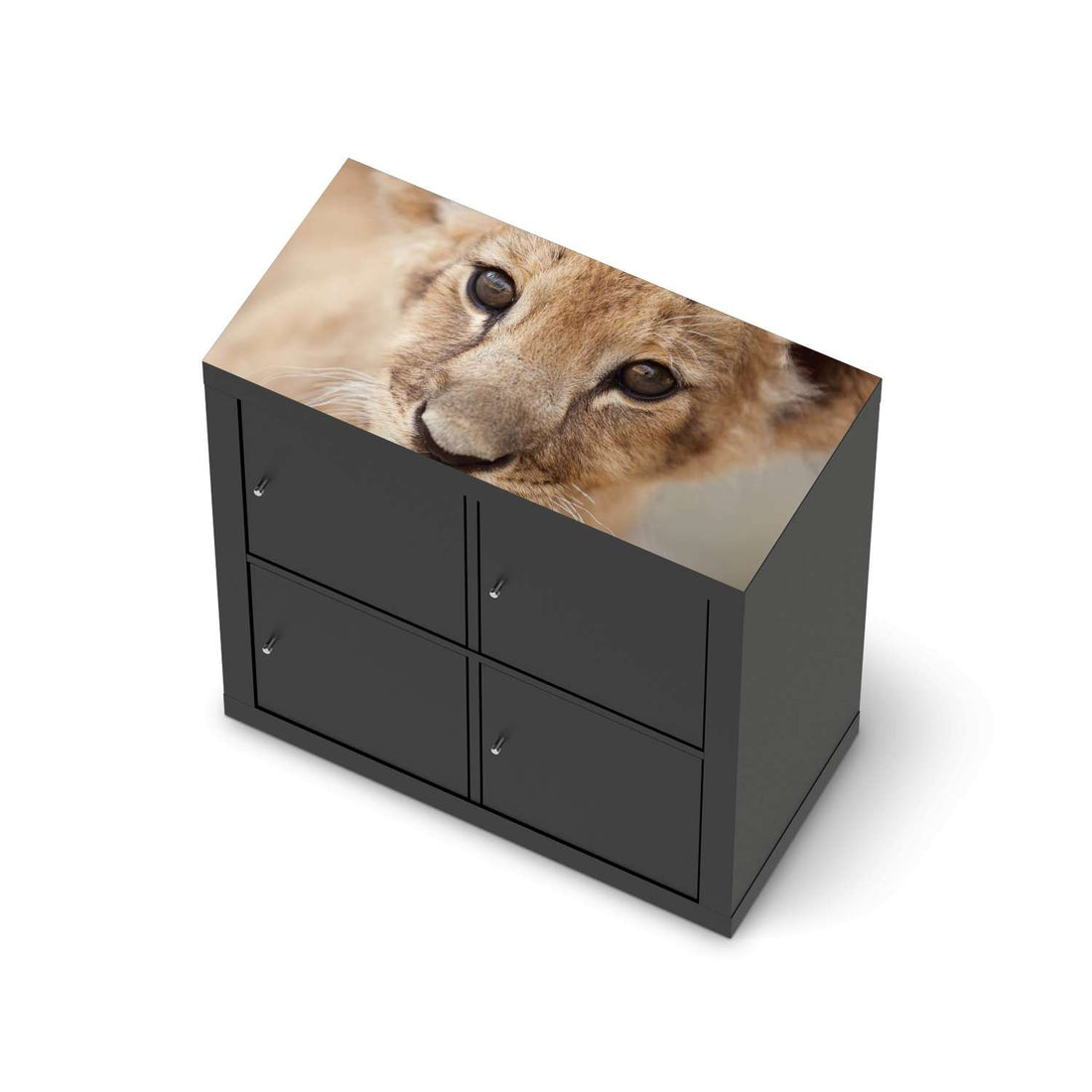 Möbelfolie Simba - IKEA Kallax Regal [oben] - schwarz