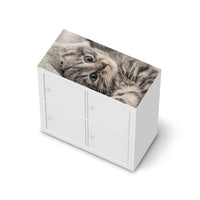 Möbelfolie Kitty the Cat - IKEA Kallax Regal [oben]  - weiss