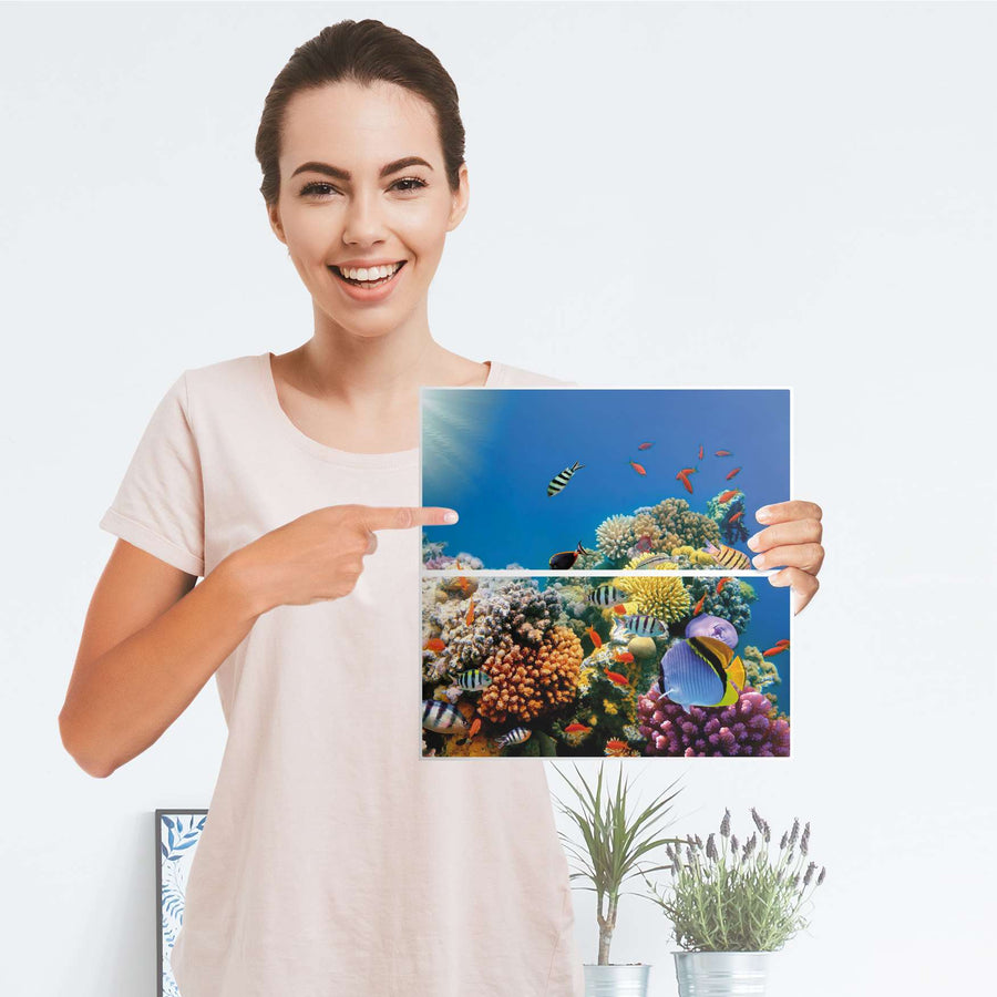 Möbelfolie Coral Reef - IKEA Kallax Regal Schubladen - Folie