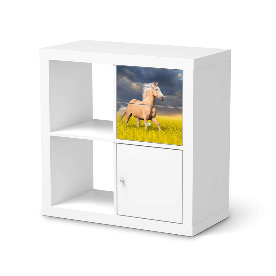 Möbelfolie Wildpferd - IKEA Kallax Regal Schubladen  - weiss