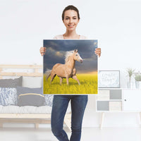 Möbelfolie Wildpferd - IKEA Lack Tisch 55x55 cm - Folie