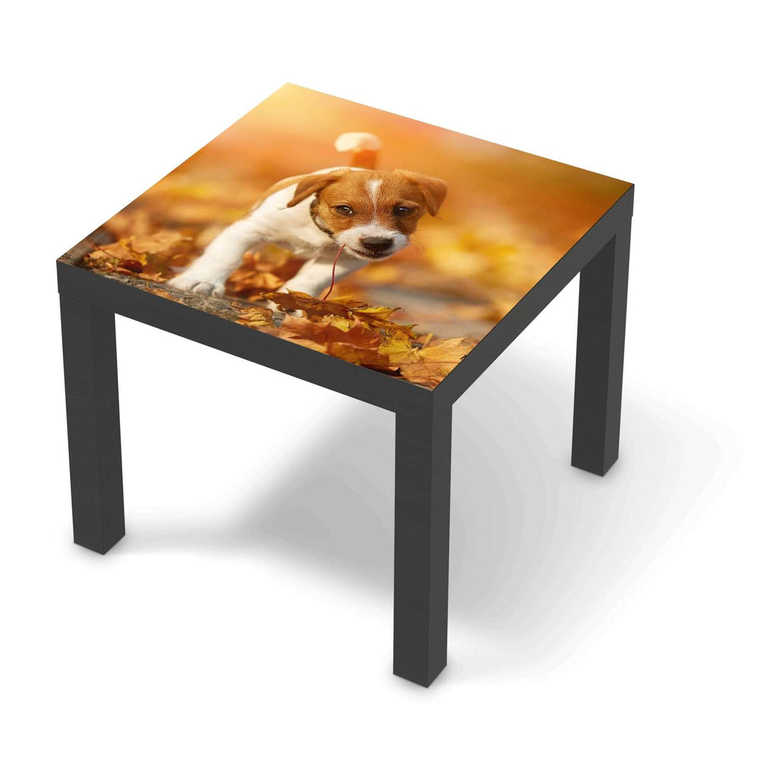 Möbelfolie Jack the Puppy - IKEA Lack Tisch 55x55 cm - schwarz