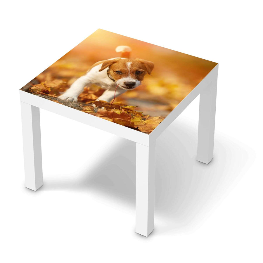 Möbelfolie Jack the Puppy - IKEA Lack Tisch 55x55 cm - weiss