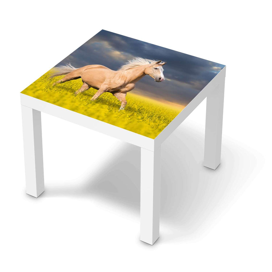 Möbelfolie Wildpferd - IKEA Lack Tisch 55x55 cm - weiss