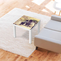 Möbelfolie Pingu Friendship - IKEA Lack Tisch 55x55 cm - Wohnzimmer