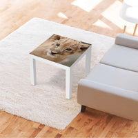 Möbelfolie Simba - IKEA Lack Tisch 55x55 cm - Wohnzimmer