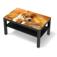 Möbelfolie Jack the Puppy - IKEA Lack Tisch 90x55 cm - schwarz