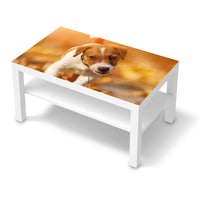 Möbelfolie Jack the Puppy - IKEA Lack Tisch 90x55 cm - weiss