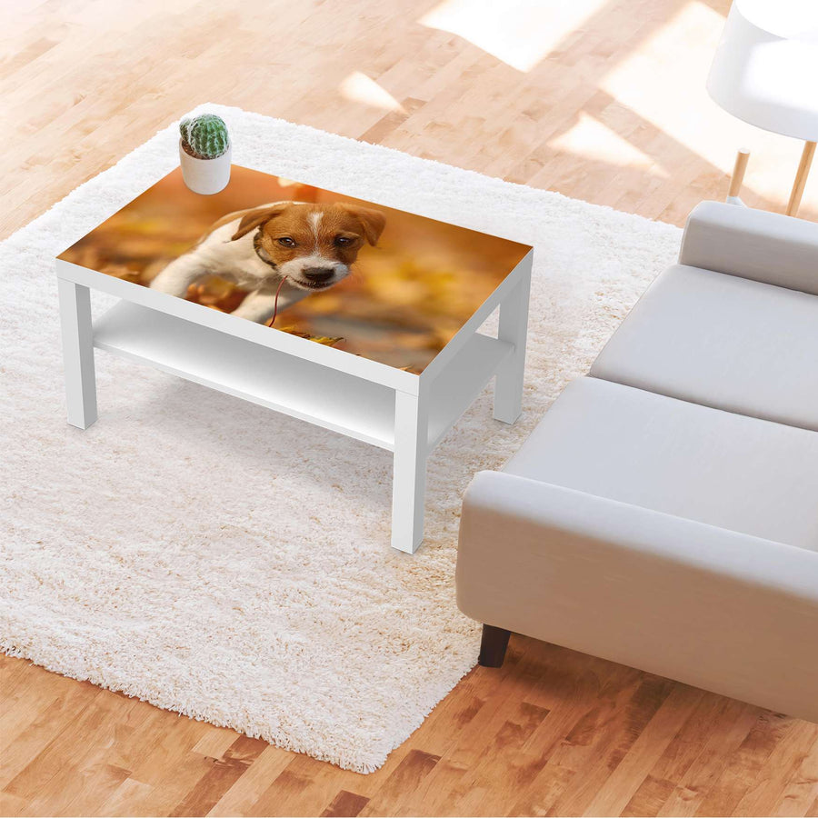Möbelfolie Jack the Puppy - IKEA Lack Tisch 90x55 cm - Wohnzimmer
