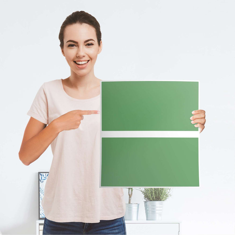 Möbelfolie Grün Light - IKEA Malm Kommode 2 Schubladen - Folie