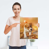 Möbelfolie Jack the Puppy - IKEA Malm Kommode 2 Schubladen [oben] - Folie