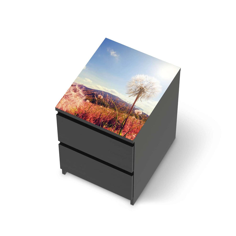 Möbelfolie Dandelion - IKEA Malm Kommode 2 Schubladen [oben] - schwarz