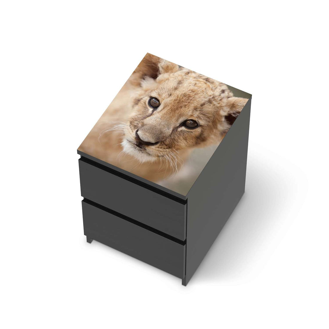 Möbelfolie Simba - IKEA Malm Kommode 2 Schubladen [oben] - schwarz