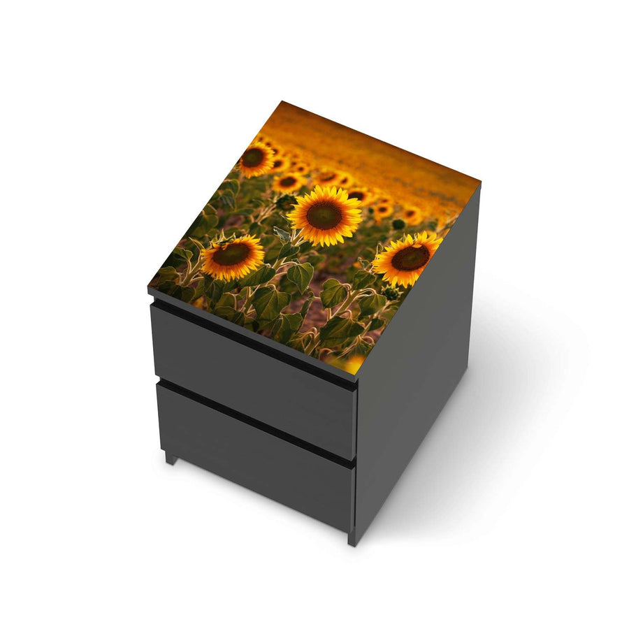 Möbelfolie Sunflowers - IKEA Malm Kommode 2 Schubladen [oben] - schwarz