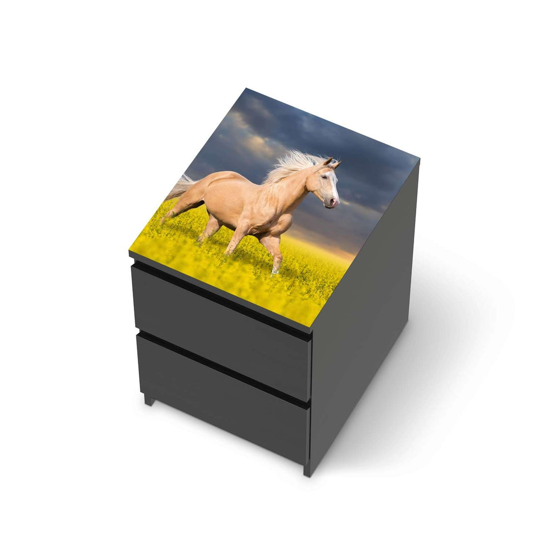 Möbelfolie Wildpferd - IKEA Malm Kommode 2 Schubladen [oben] - schwarz