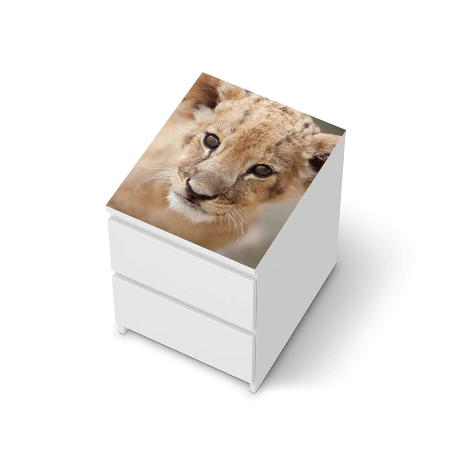 Möbelfolie Simba - IKEA Malm Kommode 2 Schubladen [oben] - weiss