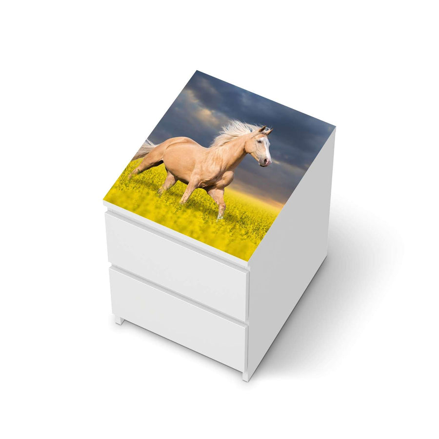 Möbelfolie Wildpferd - IKEA Malm Kommode 2 Schubladen [oben] - weiss