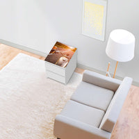 Möbelfolie Easy Rider - IKEA Malm Kommode 2 Schubladen [oben] - Wohnzimmer