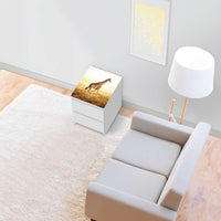 Möbelfolie Savanna Giraffe - IKEA Malm Kommode 2 Schubladen [oben] - Wohnzimmer