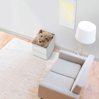 Möbelfolie Simba - IKEA Malm Kommode 2 Schubladen [oben] - Wohnzimmer