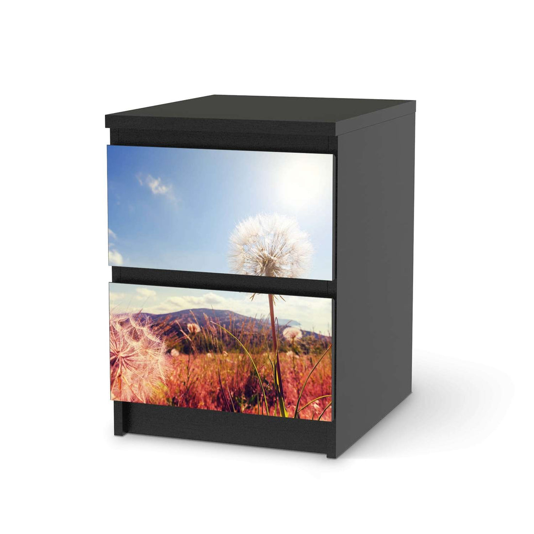 Möbelfolie Dandelion - IKEA Malm Kommode 2 Schubladen - schwarz