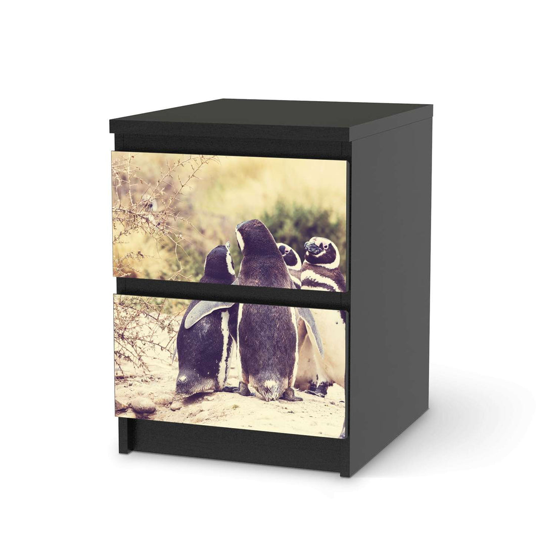 Möbelfolie Pingu Friendship - IKEA Malm Kommode 2 Schubladen - schwarz