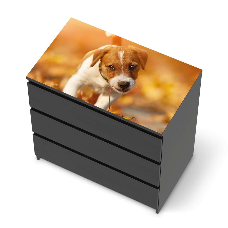 Möbelfolie Jack the Puppy - IKEA Malm Kommode 3 Schubladen [oben] - schwarz