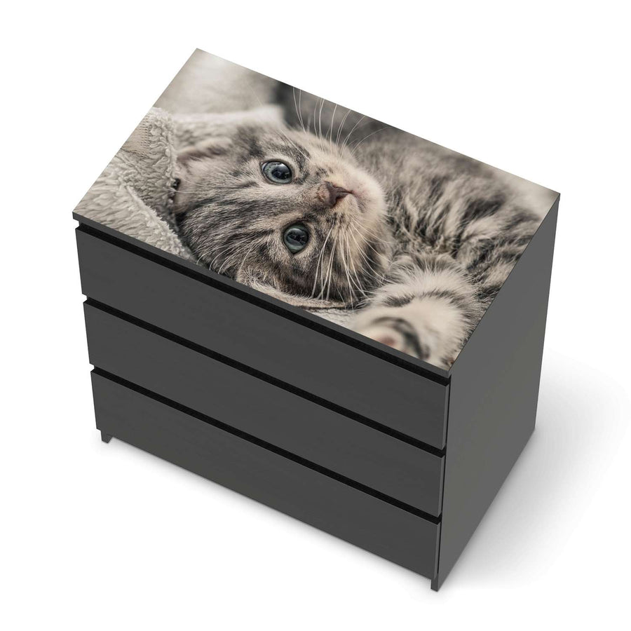Möbelfolie Kitty the Cat - IKEA Malm Kommode 3 Schubladen [oben] - schwarz
