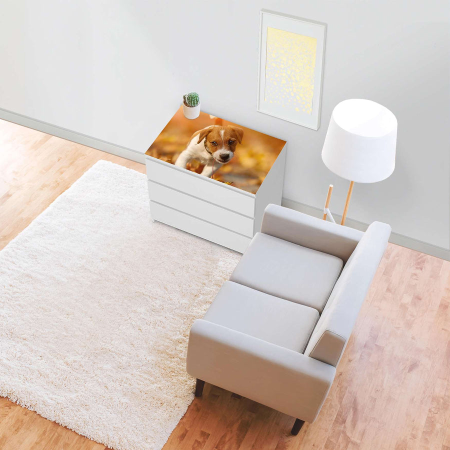 Möbelfolie Jack the Puppy - IKEA Malm Kommode 3 Schubladen [oben] - Wohnzimmer