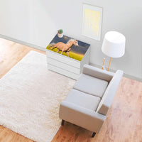 Möbelfolie Wildpferd - IKEA Malm Kommode 3 Schubladen [oben] - Wohnzimmer