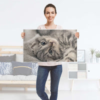 Möbelfolie Kitty the Cat - IKEA Malm Kommode 4 Schubladen [oben] - Folie